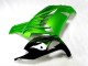 Carénage Moto Kawasaki ZX14R ZZR 1400 12-21 - Vert Noir